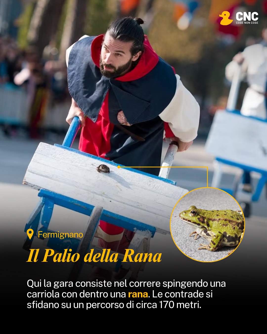 Contenuto del post