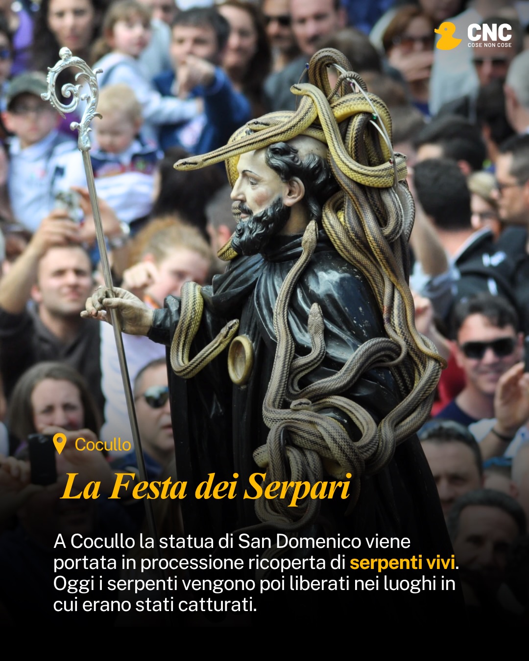 Contenuto del post